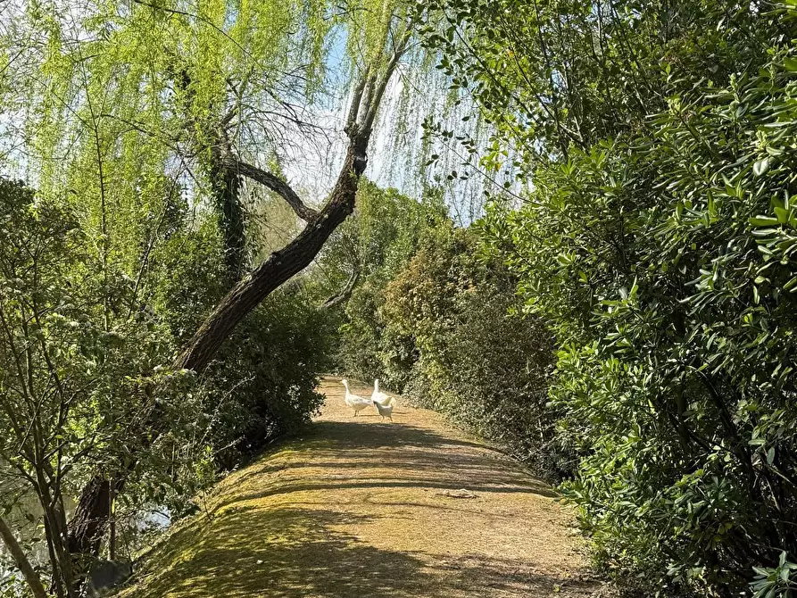 Immagine 56 di Villa in vendita  a Cerreto Guidi