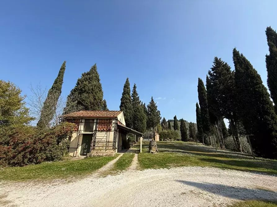 Immagine 31 di Villa in vendita  a Cerreto Guidi