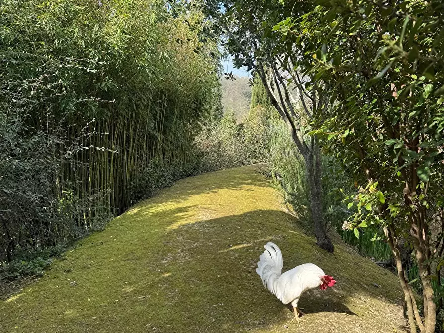 Immagine 70 di Villa in vendita  a Cerreto Guidi