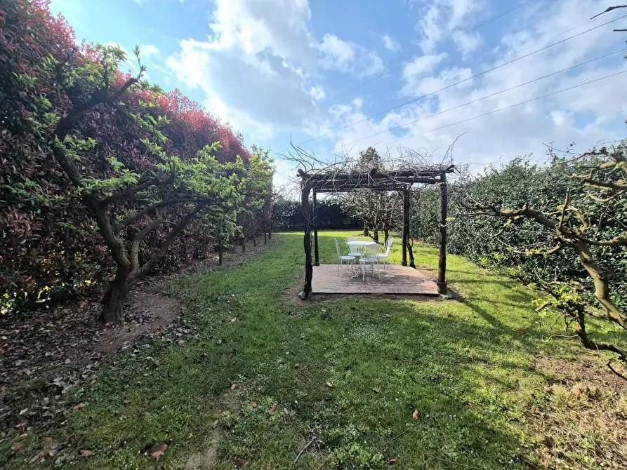 Immagine 14 di Villa in vendita  a Capannori