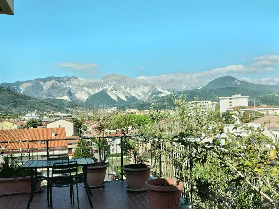 Immagine 34 di Appartamento in vendita  a Carrara