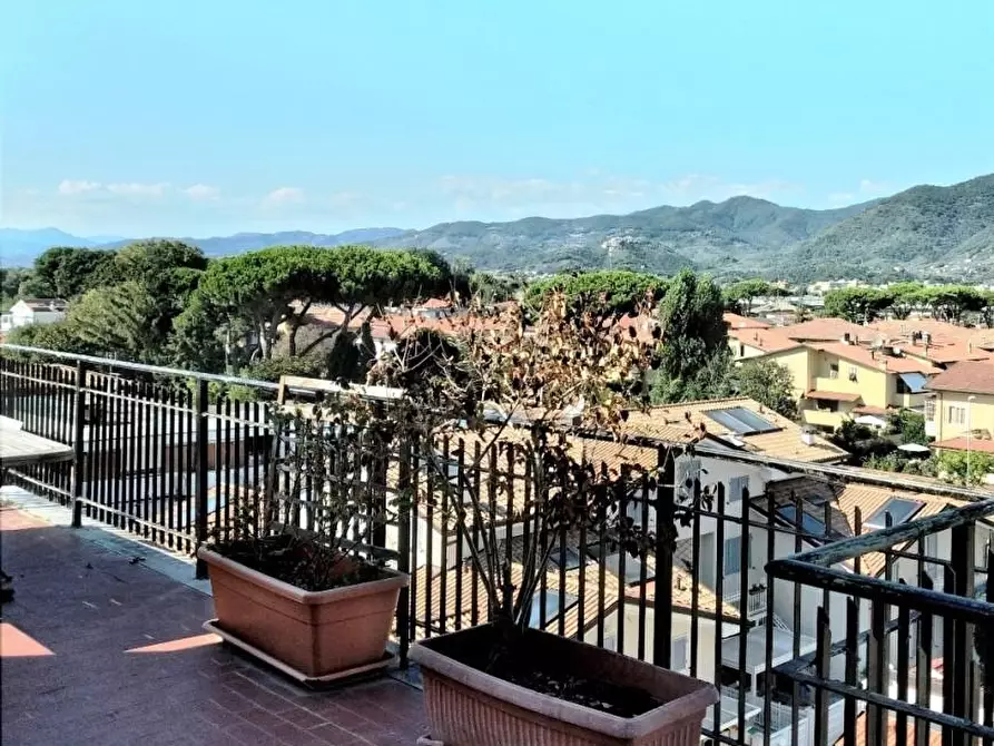 Immagine 11 di Appartamento in vendita  a Carrara