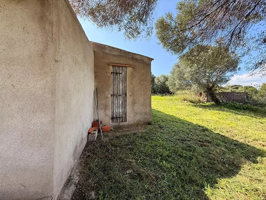 Immagine 27 di Casa colonica in vendita  a Arzachena