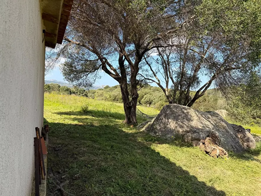 Immagine 23 di Casa colonica in vendita  a Arzachena