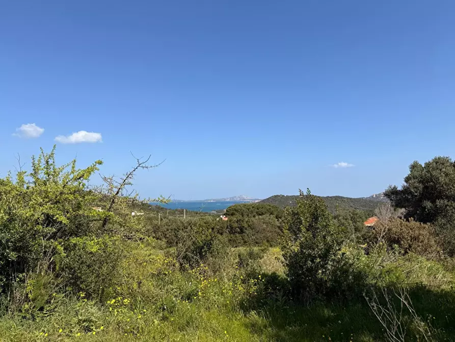 Immagine 7 di Casa colonica in vendita  a Arzachena