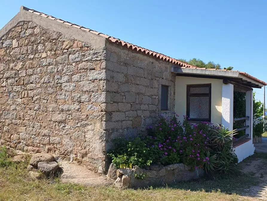Immagine 4 di Casa colonica in vendita  a Arzachena