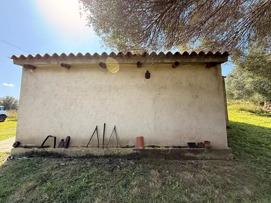 Immagine 26 di Casa colonica in vendita  a Arzachena