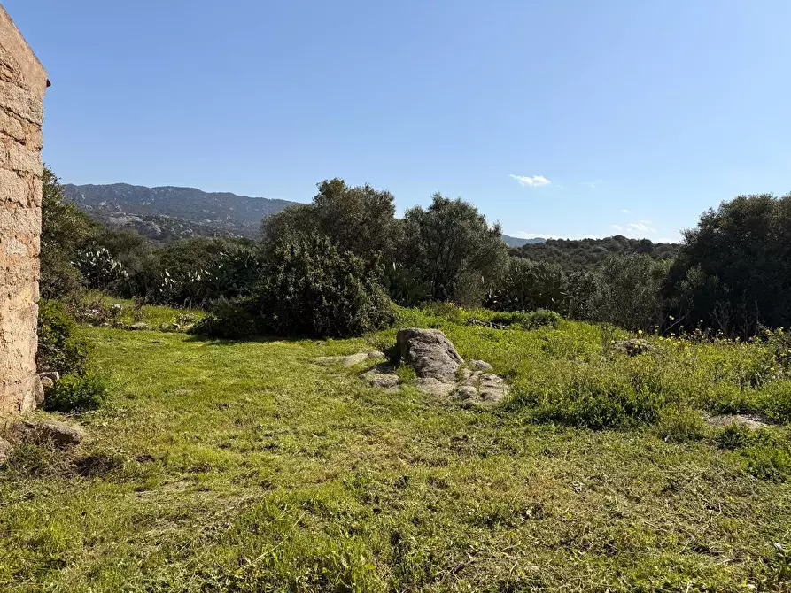 Immagine 10 di Casa colonica in vendita  a Arzachena