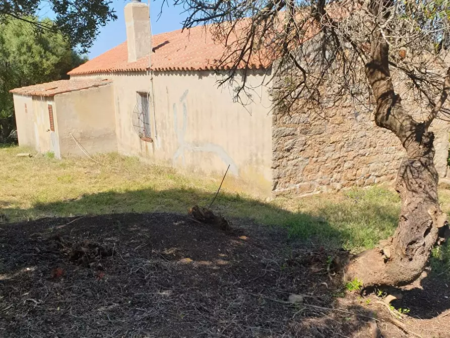 Immagine 5 di Casa colonica in vendita  a Arzachena