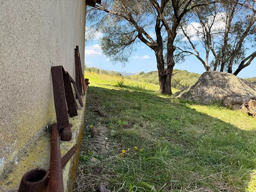 Immagine 24 di Casa colonica in vendita  a Arzachena