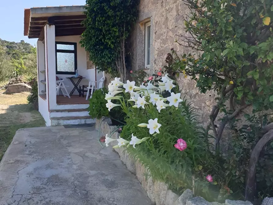 Immagine 3 di Casa colonica in vendita  a Arzachena