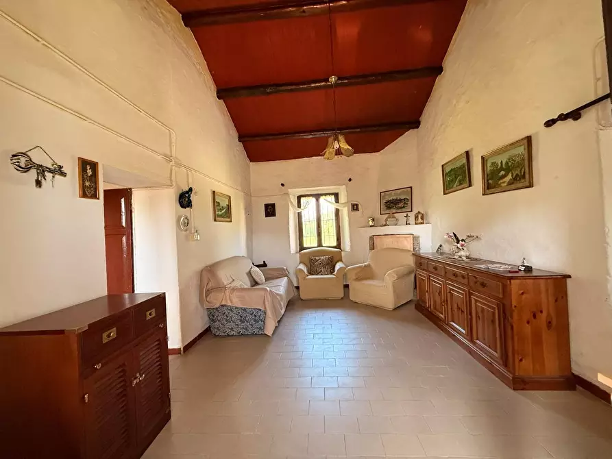Immagine 11 di Casa colonica in vendita  a Arzachena