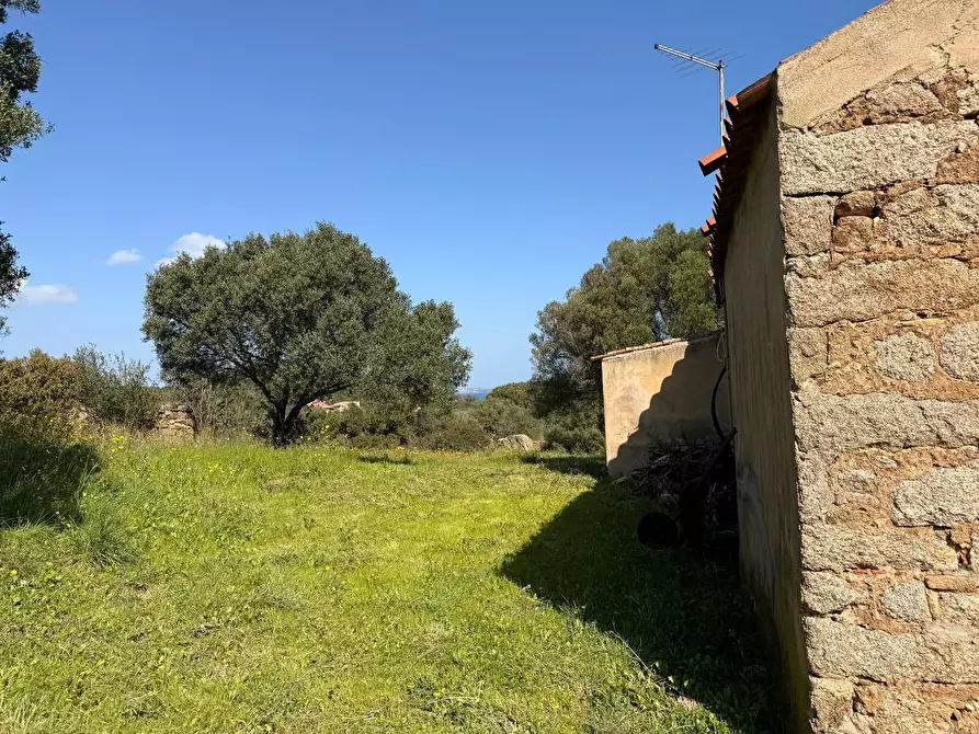 Immagine 9 di Casa colonica in vendita  a Arzachena