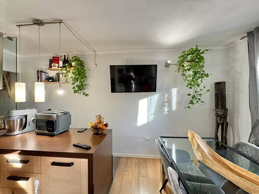 Immagine 10 di Terratetto in vendita  a Ponsacco