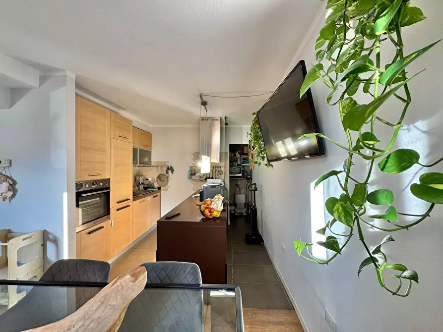 Immagine 11 di Terratetto in vendita  a Ponsacco