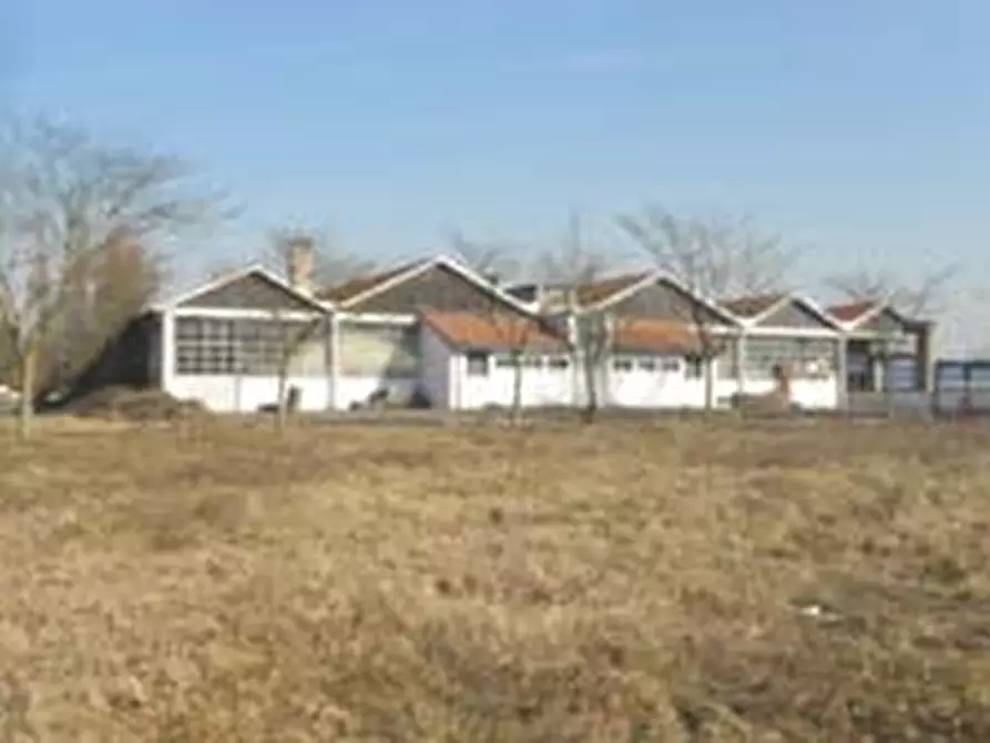 Immagine 19 di Attività artigianale in vendita  a Lungavilla