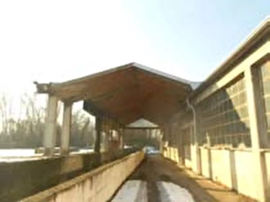 Immagine 15 di Attività artigianale in vendita  a Lungavilla