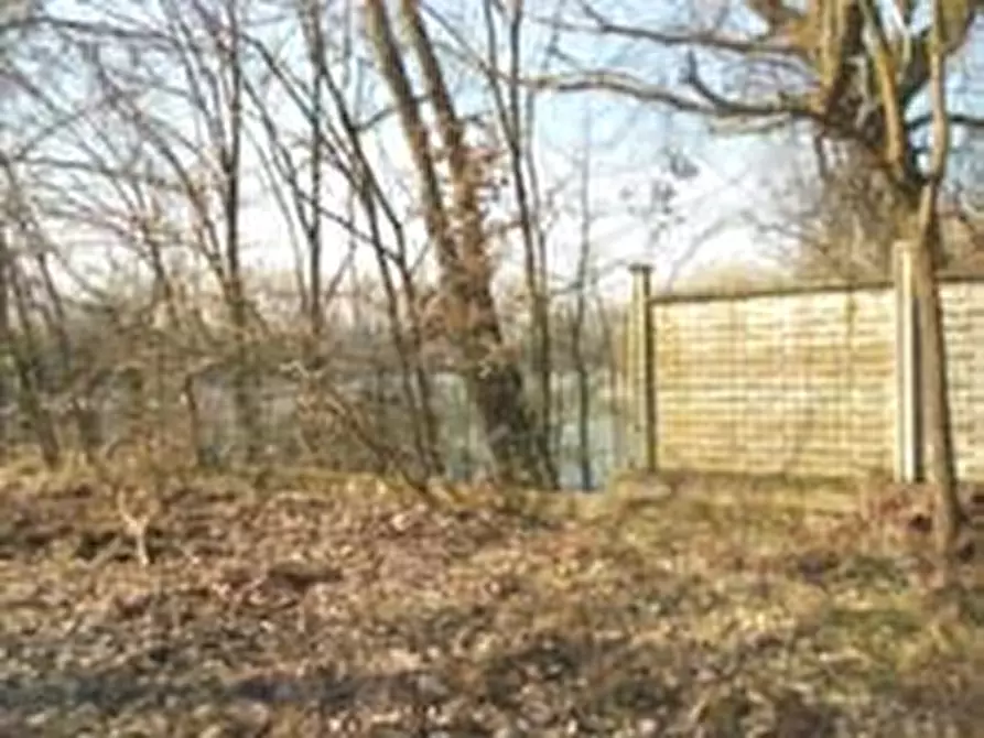 Immagine 20 di Attività artigianale in vendita  a Lungavilla