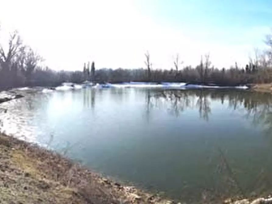 Immagine 21 di Attività artigianale in vendita  a Lungavilla