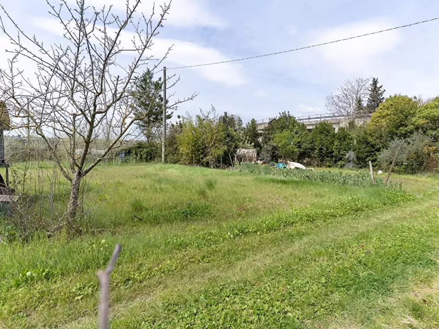 Immagine 22 di Terratetto in vendita  a Castelfiorentino