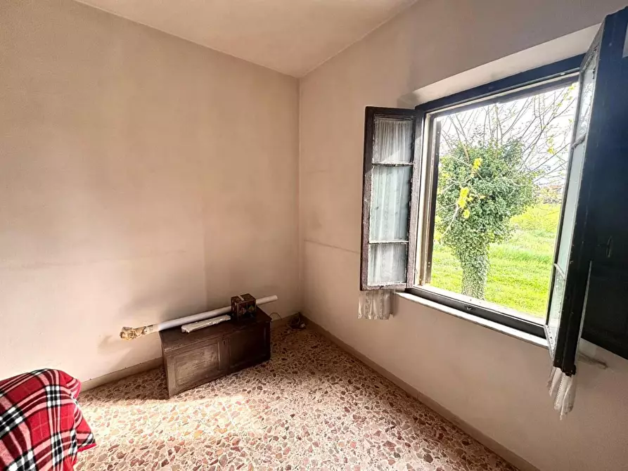 Immagine 16 di Terratetto in vendita  a Casciana Terme Lari