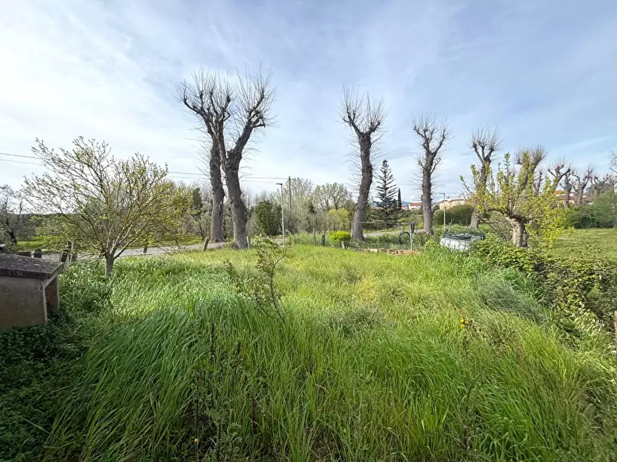 Immagine 22 di Terratetto in vendita  a Casciana Terme Lari