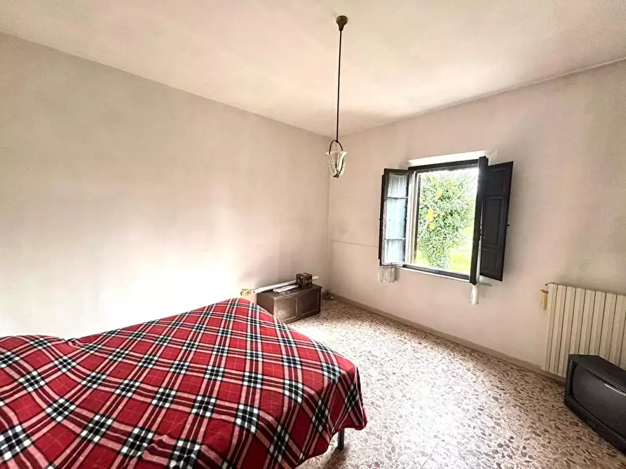 Immagine 14 di Terratetto in vendita  a Casciana Terme Lari