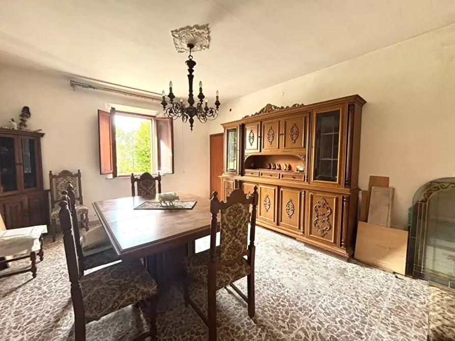 Immagine 3 di Terratetto in vendita  a Casciana Terme Lari