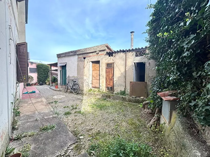 Immagine 19 di Terratetto in vendita  a Casciana Terme Lari