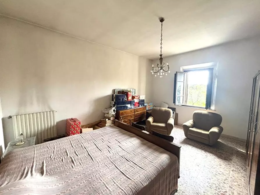 Immagine 13 di Terratetto in vendita  a Casciana Terme Lari