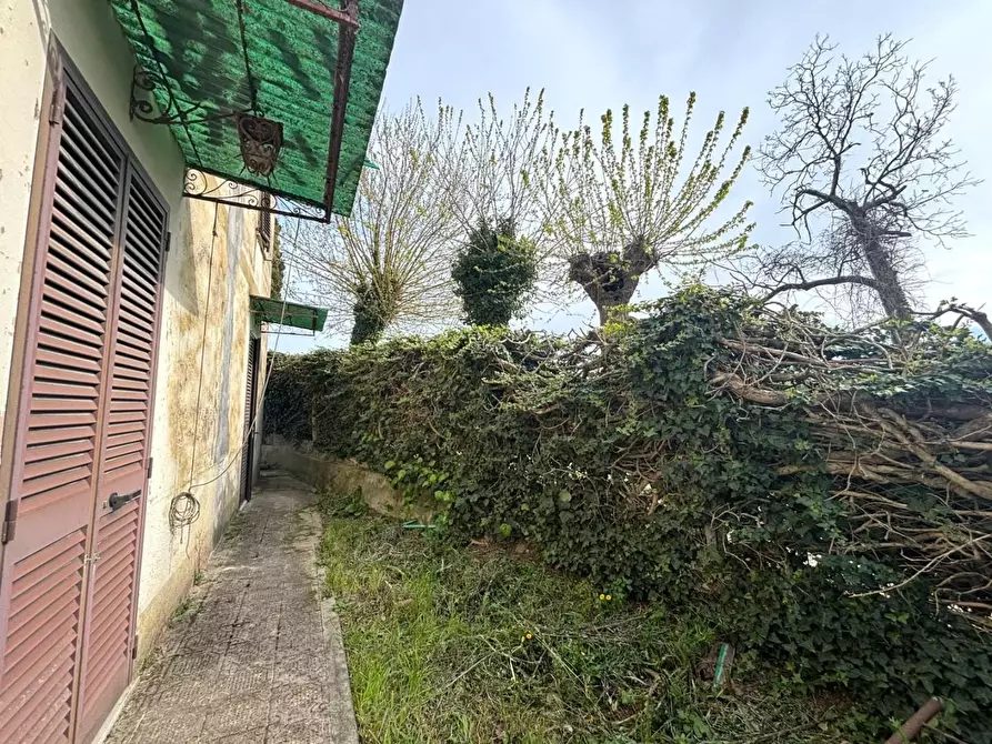 Immagine 20 di Terratetto in vendita  a Casciana Terme Lari