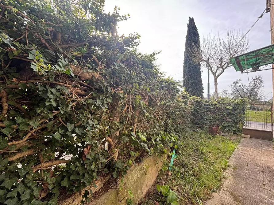 Immagine 21 di Terratetto in vendita  a Casciana Terme Lari