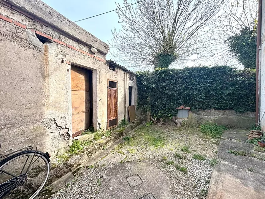 Immagine 18 di Terratetto in vendita  a Casciana Terme Lari