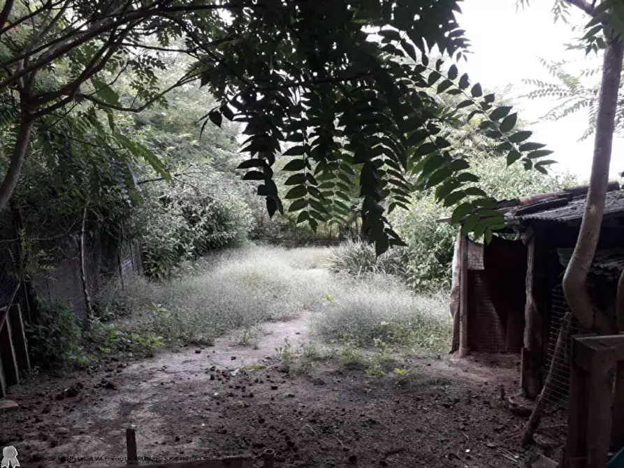 Immagine 9 di Appartamento in vendita  a Gambarana