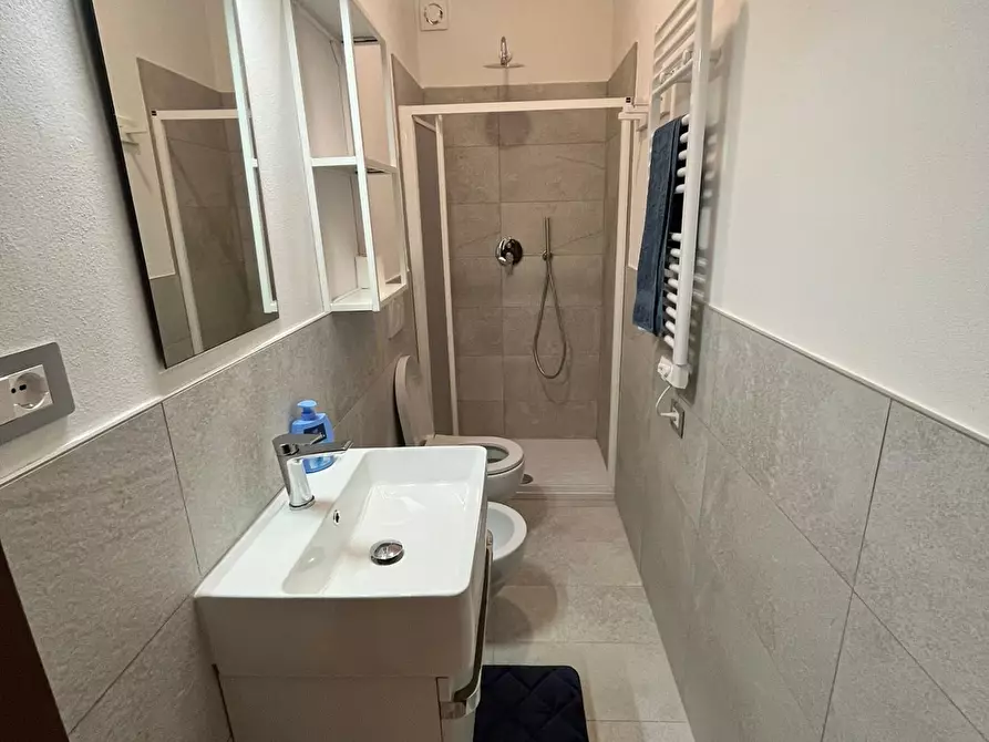 Immagine 11 di Appartamento in affitto  a Pisa