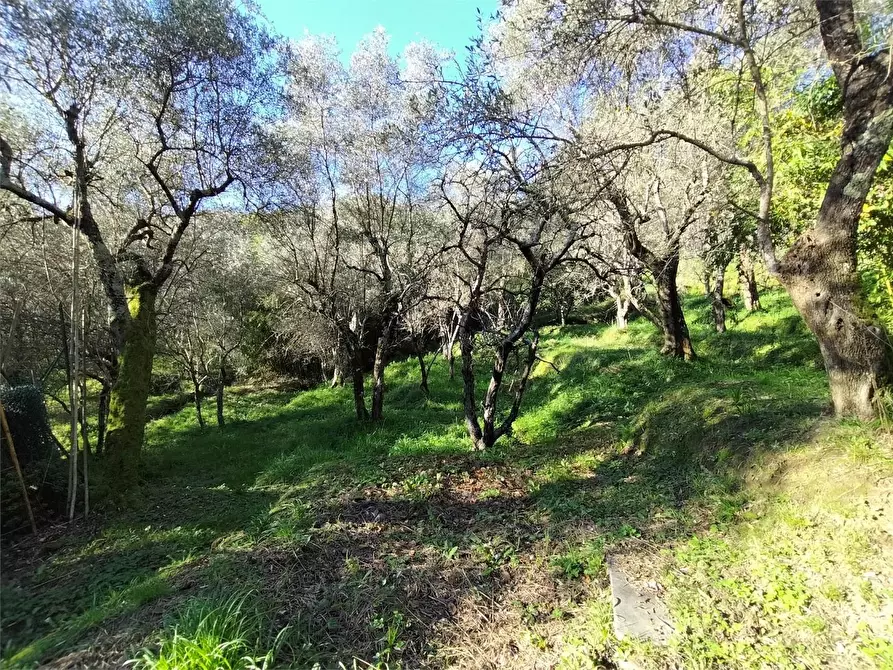 Immagine 8 di Casa indipendente in vendita  a Ortonovo