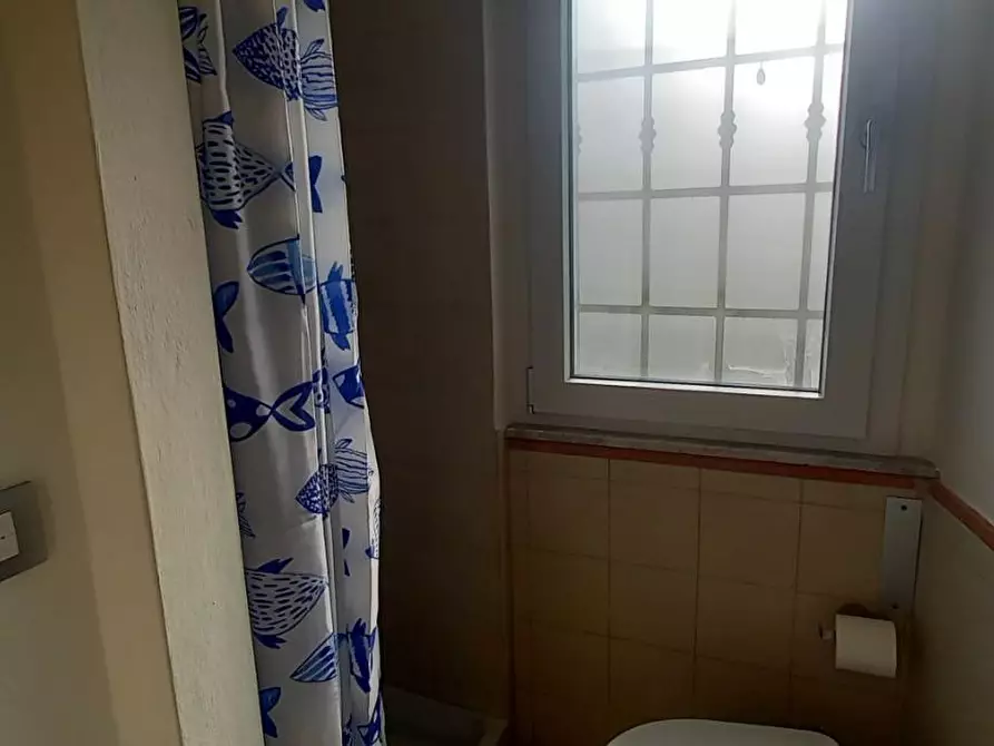 Immagine 11 di Appartamento in affitto  a Camaiore