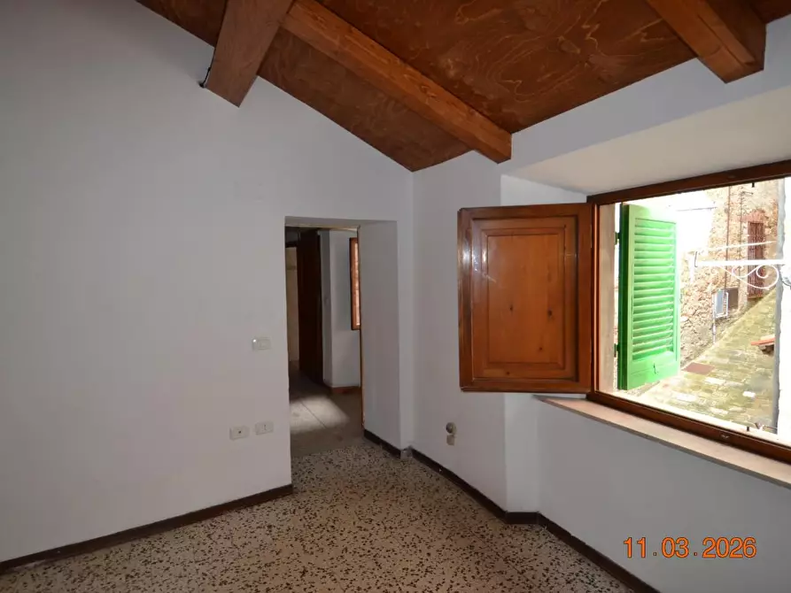 Immagine 17 di Appartamento in vendita  a Campiglia Marittima