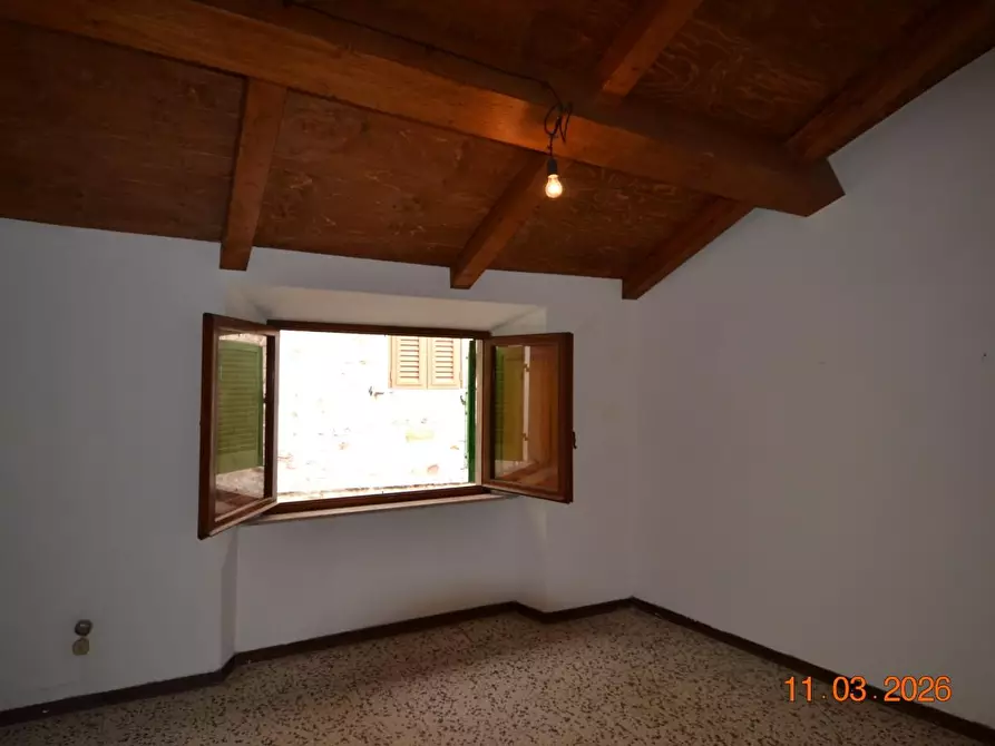 Immagine 13 di Appartamento in vendita  a Campiglia Marittima