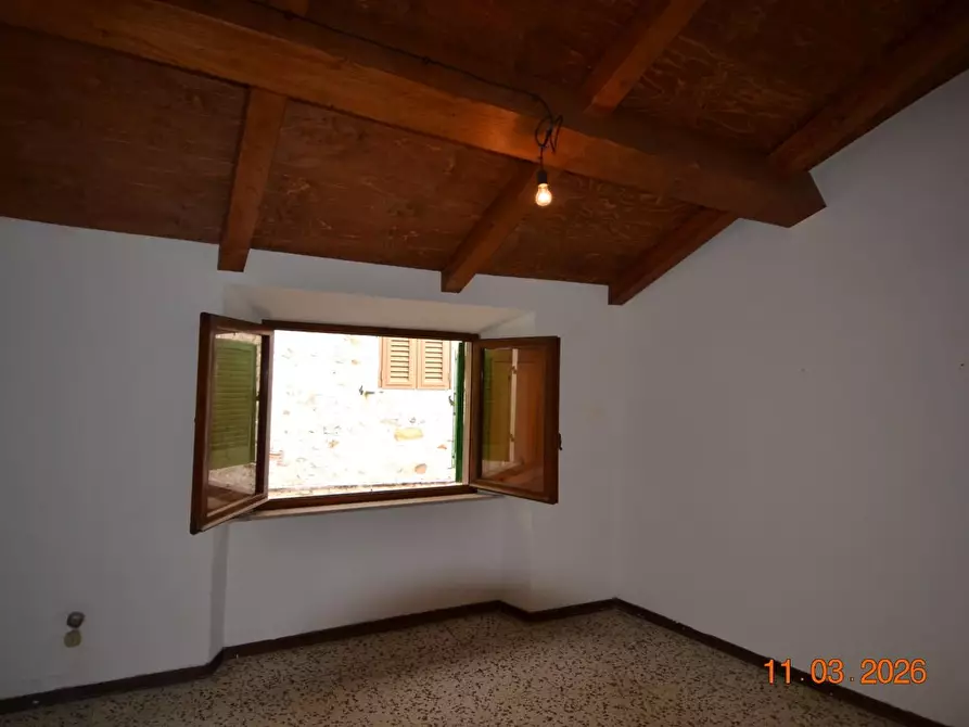 Immagine 14 di Appartamento in vendita  a Campiglia Marittima