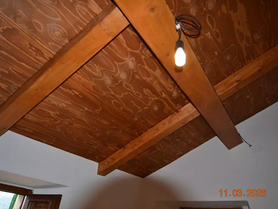 Immagine 8 di Appartamento in vendita  a Campiglia Marittima