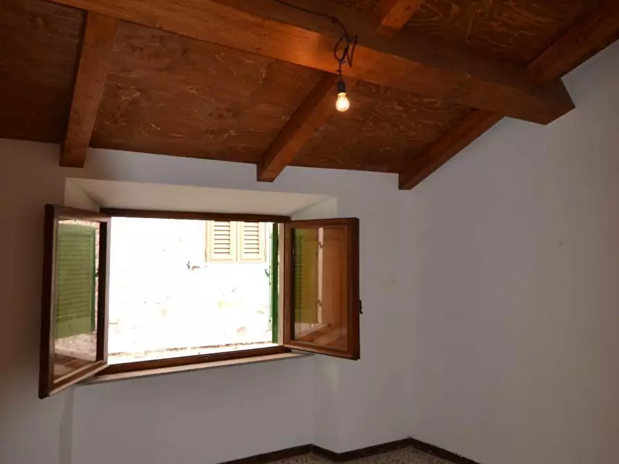 Immagine 15 di Appartamento in vendita  a Campiglia Marittima