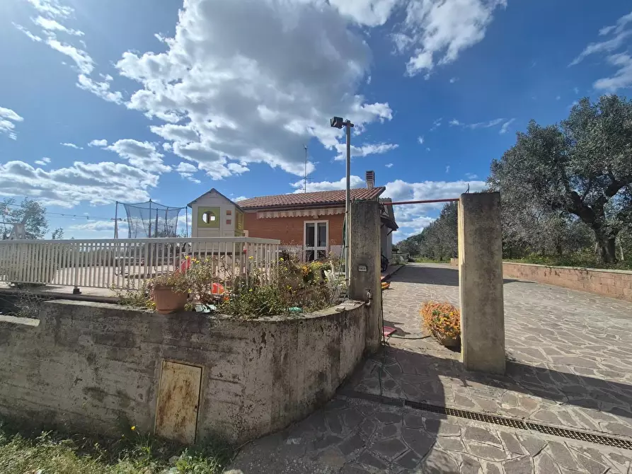 Immagine 10 di Casa indipendente in vendita  a Campiglia Marittima