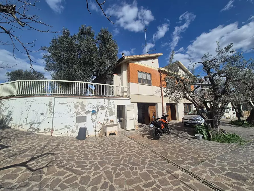 Immagine 1 di Casa indipendente in vendita  a Campiglia Marittima