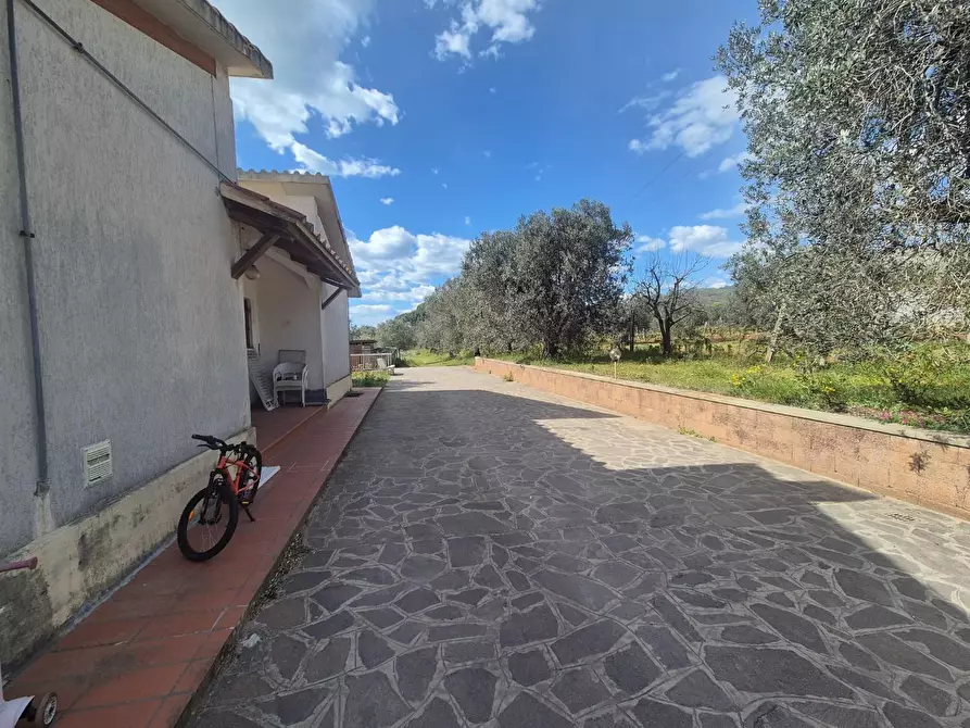Immagine 6 di Casa indipendente in vendita  a Campiglia Marittima