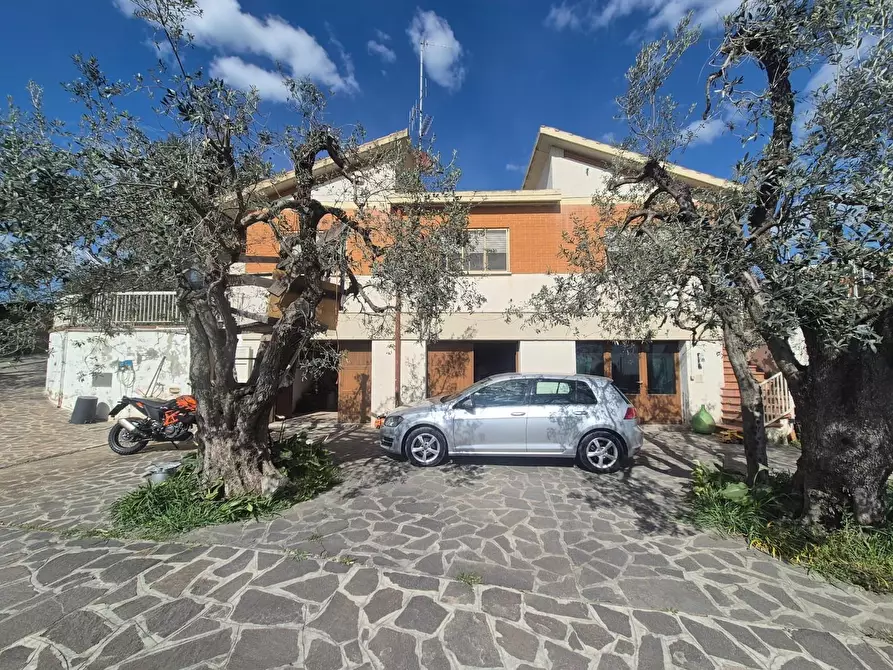 Immagine 3 di Casa indipendente in vendita  a Campiglia Marittima