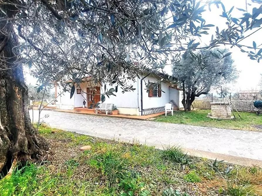 Immagine 11 di Casa indipendente in vendita  a Campiglia Marittima