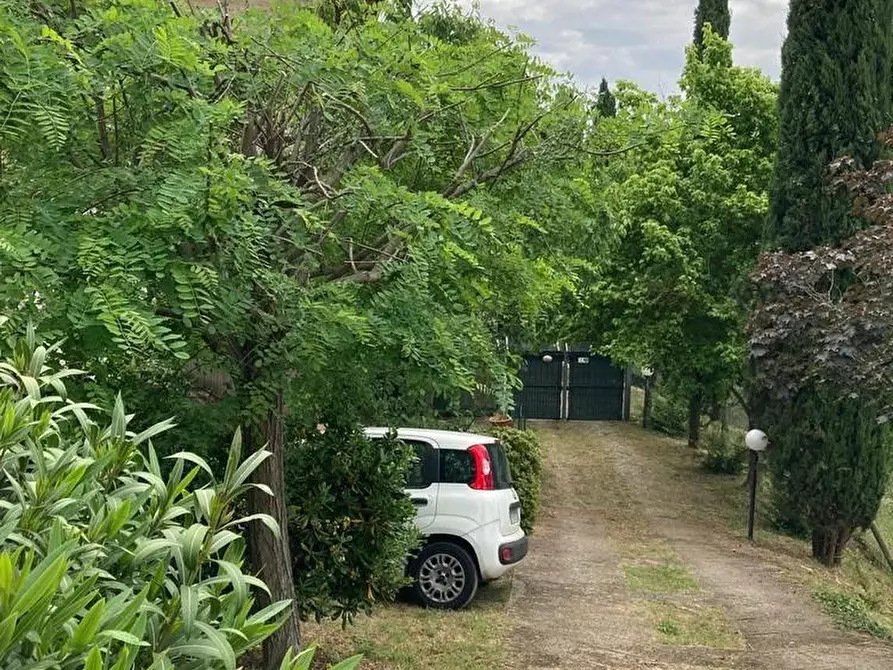 Immagine 10 di Appartamento in vendita  a Asciano