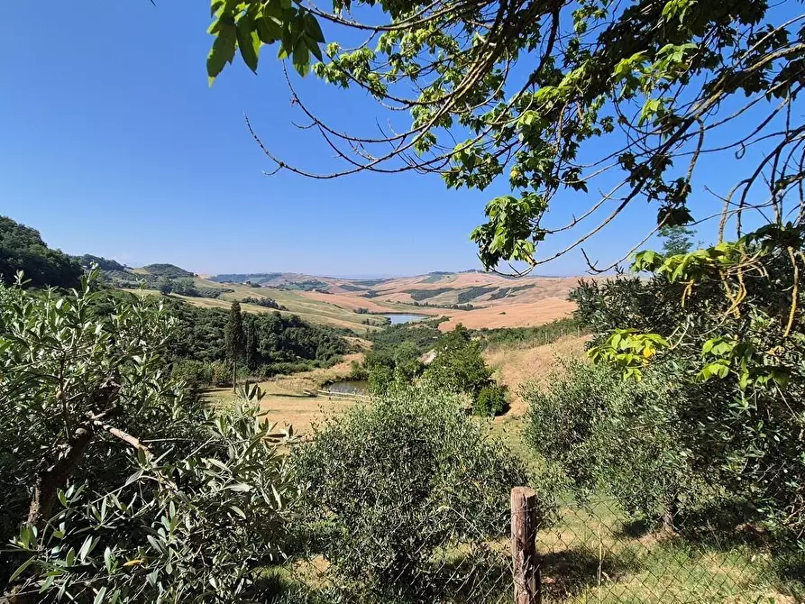 Immagine 9 di Appartamento in vendita  a Asciano