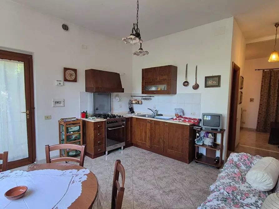 Immagine 2 di Appartamento in vendita  a Asciano